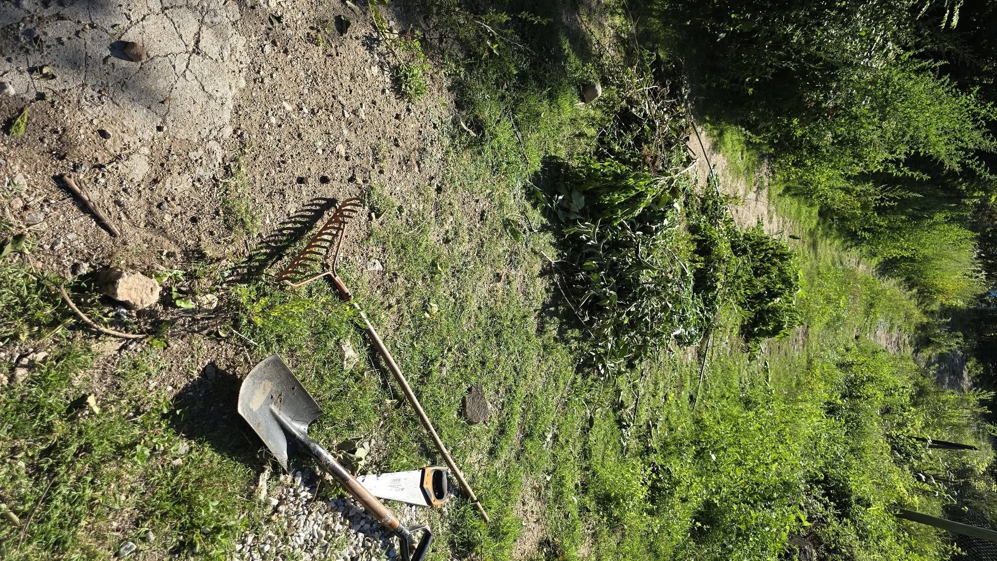 Cuidar el Valle de Punilla es un compromiso vecinal: brigada ambiental